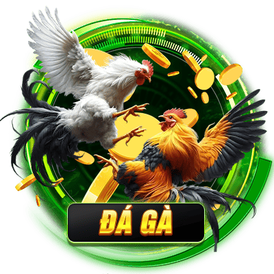 đ&aacute; g&agrave; e2bet